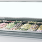 tefcold-8675-d919d50b287135d8943ee7f5be323279