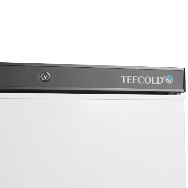 tefcold-8706-217dc60d2ad211a9815269306fc3d03a tefcold-8706-217dc60d2ad211a9815269306fc3d03a