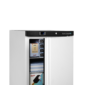 tefcold-8706-8ee9c0e0a9f52fa28e86279d7b1ebebc