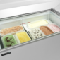 tefcold-8809-f116b198649fdec559e4787eb80dc7e3