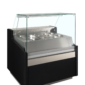 tefcold-8821-f21cca6b13f526f09e9b92c76c07bc16