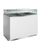 tefcold-9011-58c3f89e8e3ec701315db9c908d7829f