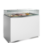 tefcold-9011-60258dcb5c9a557b0d5f8d452f6c4a59