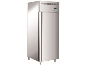 ARMÁRIO REFRIGERADO VENTILADO -18°C -22°C PARA FRIO (G-GN650BT-FC)